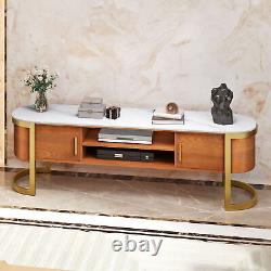 70'' Mid Century Slate Marble TV Stand Media Console with 2 Cabinets & 2 Shelves