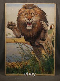 African Lion Early 20th Century Modern American Animal Painting