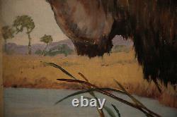 African Lion Early 20th Century Modern American Animal Painting