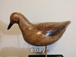 Hand Carved Early Century Style Bird Folk Art Sculpture Driftwood Base Signed