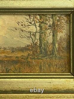 Peinture miniature de paysage antique sur panneau, bois d'automne encadré rare du 20ème siècle